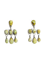 Load image into Gallery viewer, Palomino Chandelier Earrings
